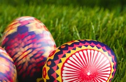 Alle Jahre wieder präsentiert das Museum Schätze aus seiner ebenso reichhaltigen wie staunenswerten Eier-Sammlung. Ostereier auf einer Wiese