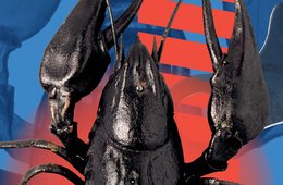 Der Schlüssel zum Leben